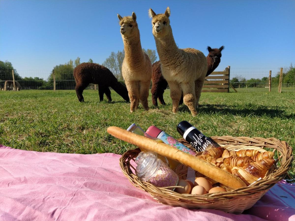 Domaine Ramonjavel, Glamping & Alpaca'S Bed & Breakfast Fongrave Ngoại thất bức ảnh
